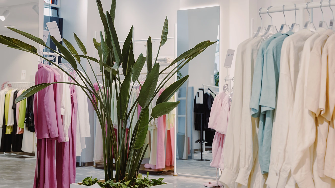 Clothing store interior with racks of shirts in various colors and a large potted plant in the center.