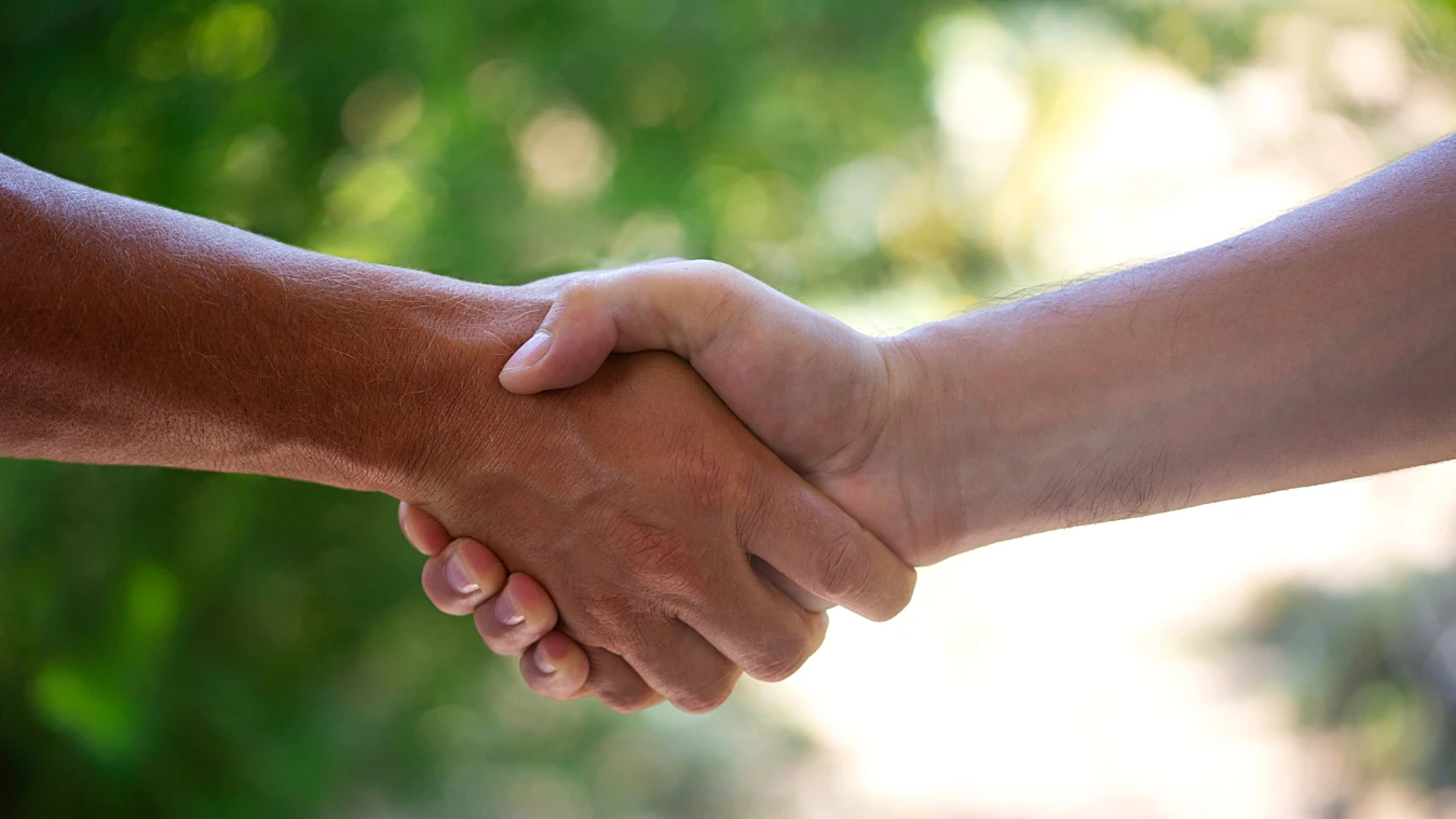 Two hands shaking firmly against a blurred green background, symbolizing agreement or partnership.